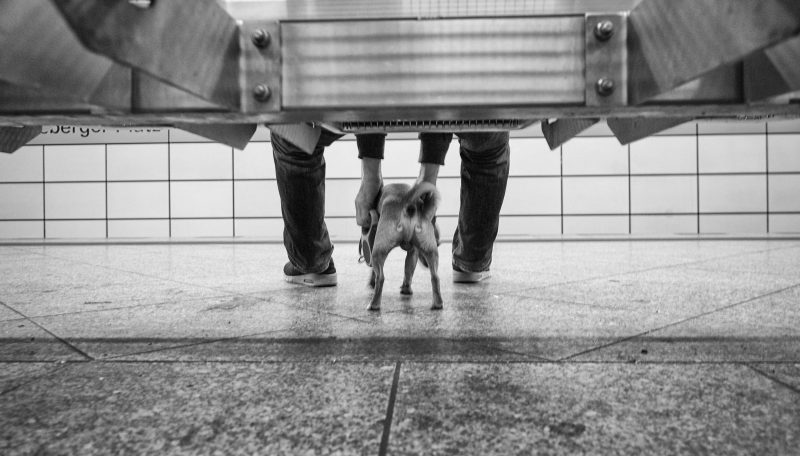 Berlino